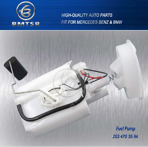 Auto Spares Parts Assembly Fuel Pump OEM 2034703594