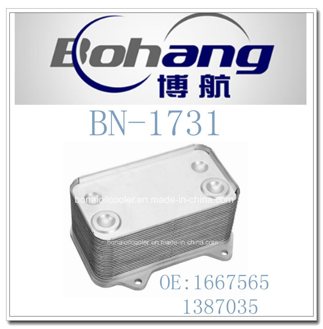 High Quality Oil Cooler Used for Daf Truck CF65 CF75 CF85 Xf95 Xf105 (1667565/1387035)