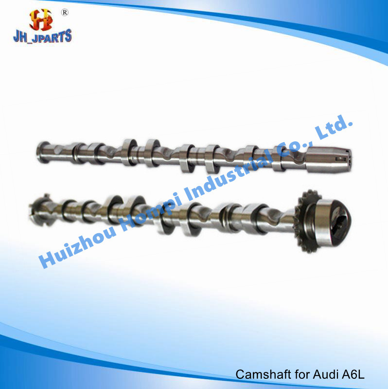 Auto Spare Parts Camshaft for Volkswagen/Audi C6 2.0t 06f109101b 06f109102b
