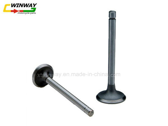 Ww-9501 Motorcycle Engine Intake Exchaust Stem Valve for Honda Cg125