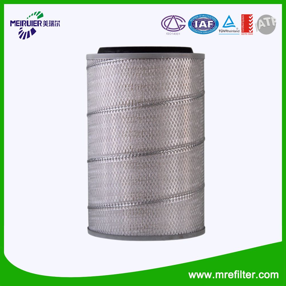 Af25065 Auto Air Filter for Mann