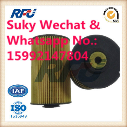 Hengst Oil Filter Auto Parts for Truck Used in Benz (E10KP D10)