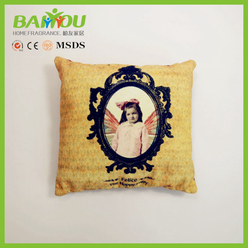 Aroma Modern Decor Cushion