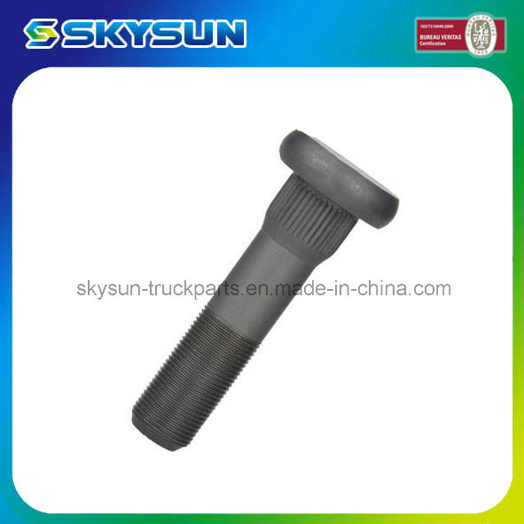 Auto/Truck Parts Stud Bolt and Nut for Daf (1309191)