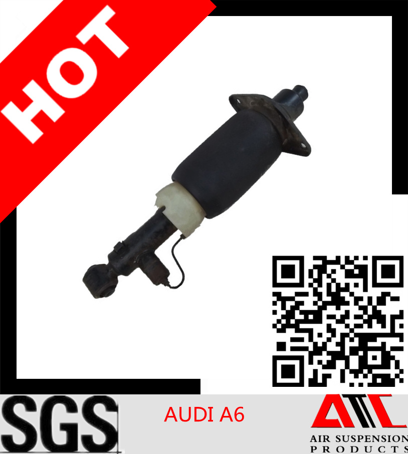 Brand New Front Air Shock Absorber for Audi A6 (AS-7053)