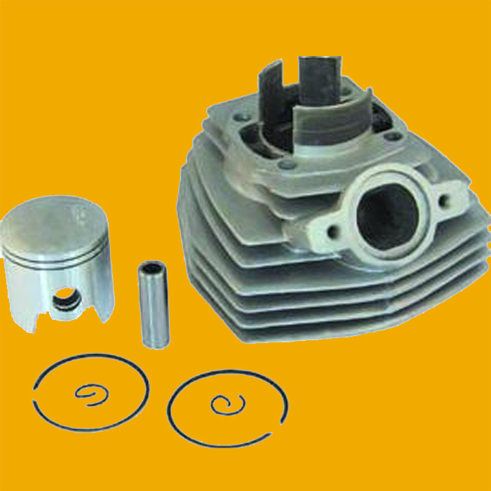 Pgt Motorbike Cylinder, Motorcycle Cylinder for Ss8007,