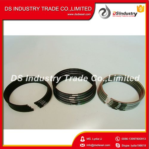 6L Piston Ring 3921919 for Cummins Diesel Engine Parts
