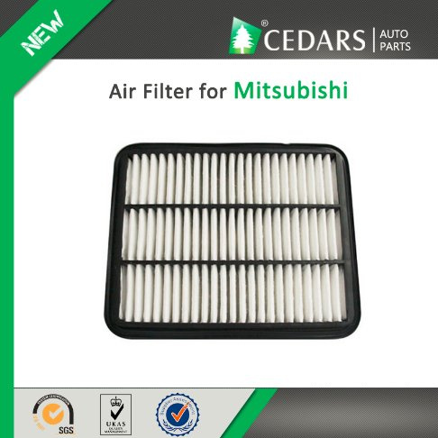 China Auto Parts Quality Supplier Air Filter for Mitsubishi