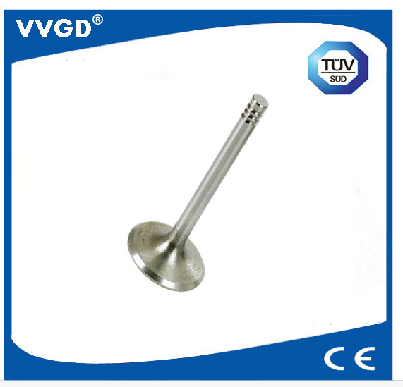 Auto Exhaust Valve for VW 026109601c