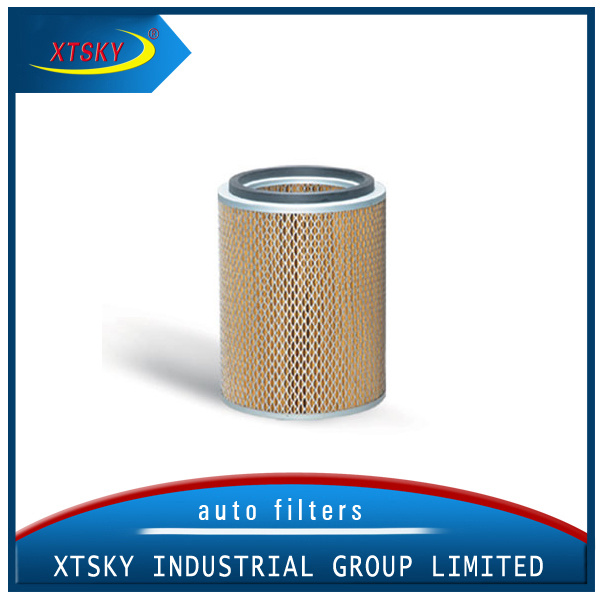 Air Filter/Xtsky Air Filter 16546-89ta0 with High Quality