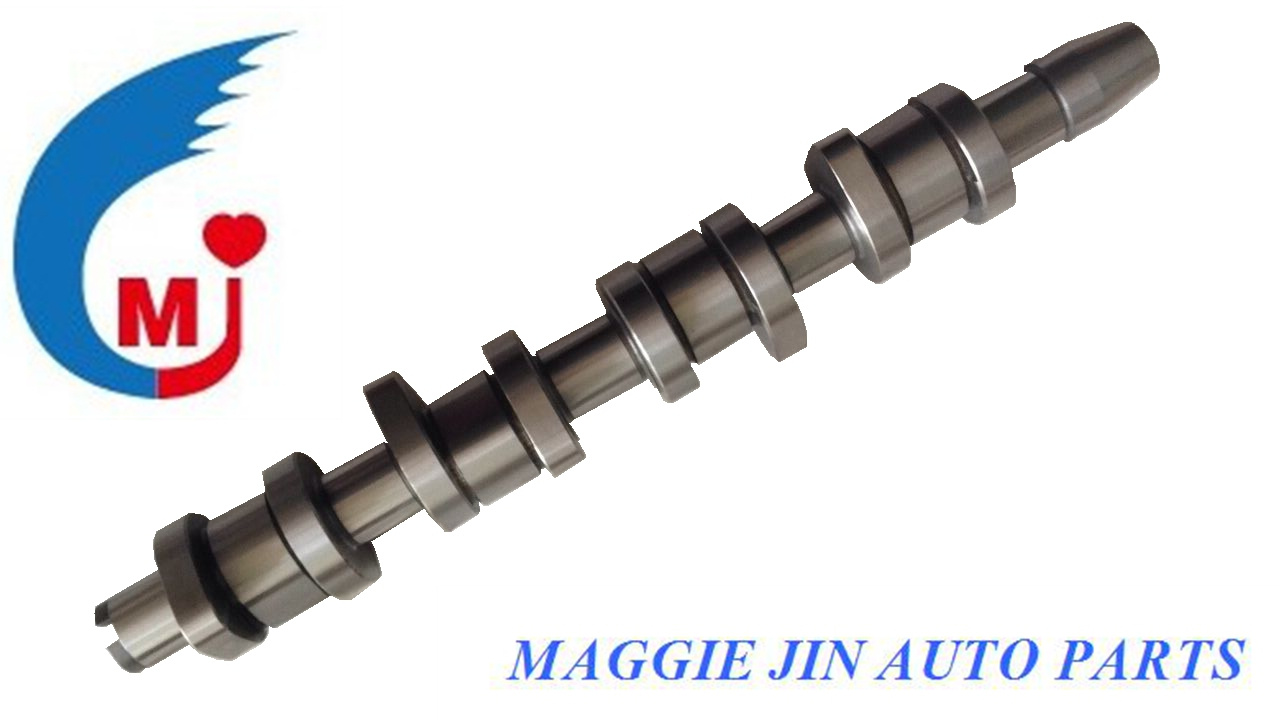 Auto Part Engine Parts Auto Cam Shaft for Audi