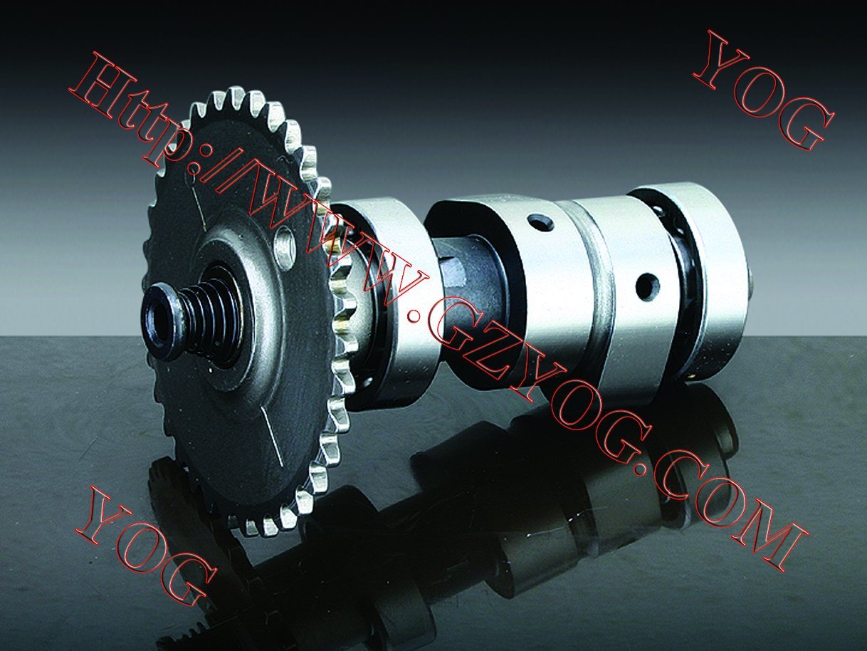 Motorcycle Parts Motorcycle Camshaft Moto Shaft Cam for CH250