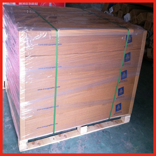 High Quality Self Adhesive Vinyl for Large Format Printing Sav08120g