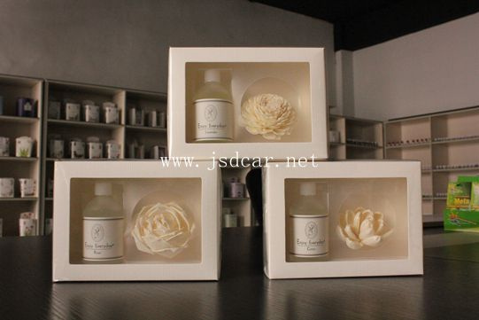 Newly Designed Glass Bottle Home Fragrance, Reed Diffuser (JSD-K0016)