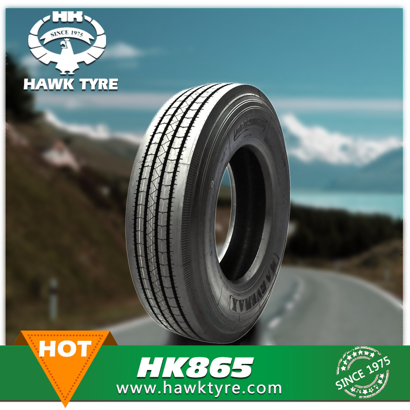 2017 New All Steel Radial Tubeless Trailer Truck Tire with DOT, ECE, ISO, Smartway, CCC (11R122.5 295/75R22.5 285/75R24.5 255/70R22.5)