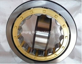 Cylindrical Roller Bearing N211, Nj211, Nu211, N311, Nj311, Nu311, Nup311nv