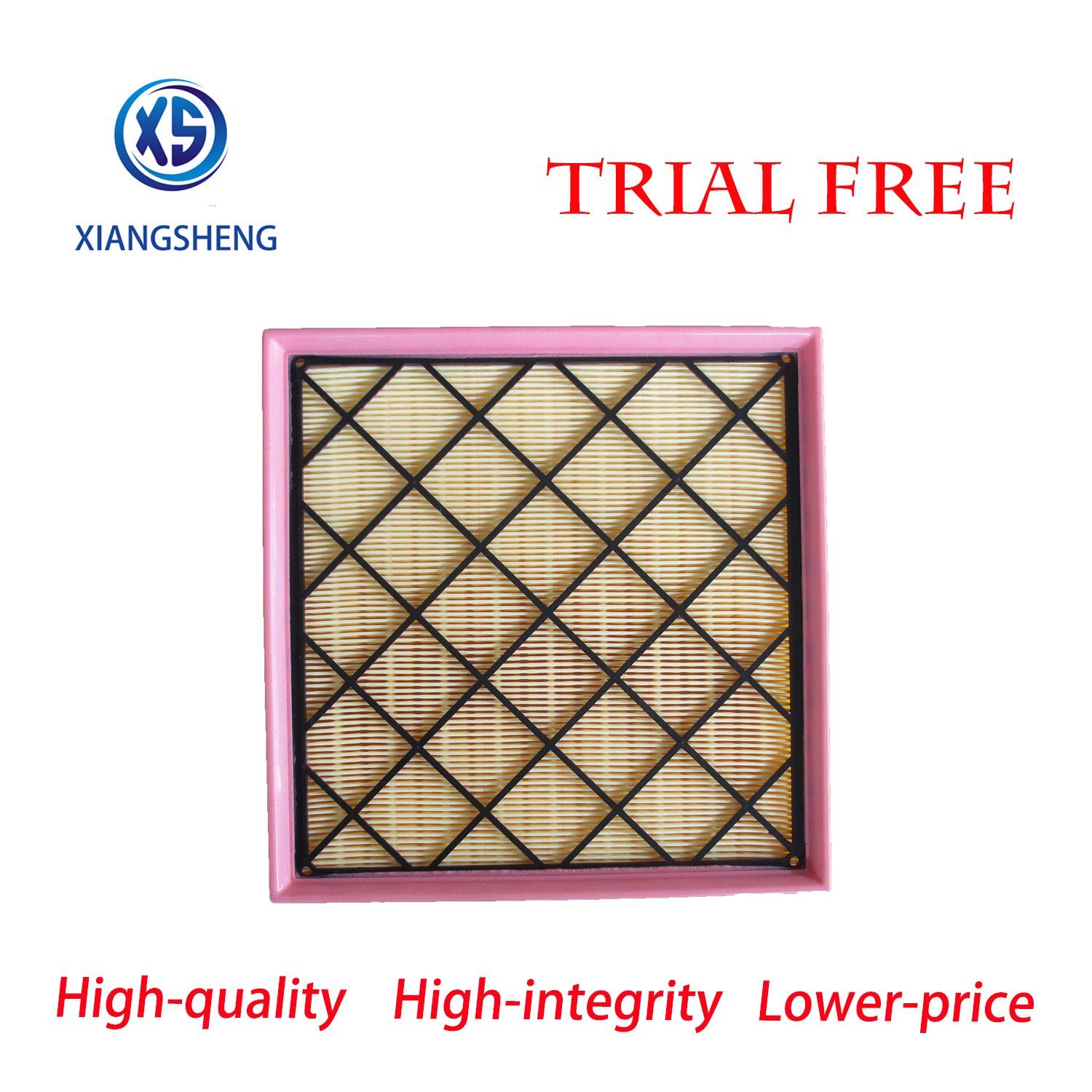Auto Filter Manufacturer Supply High Quality Air Filter for Chevrolet Cruze 13272717 13272719