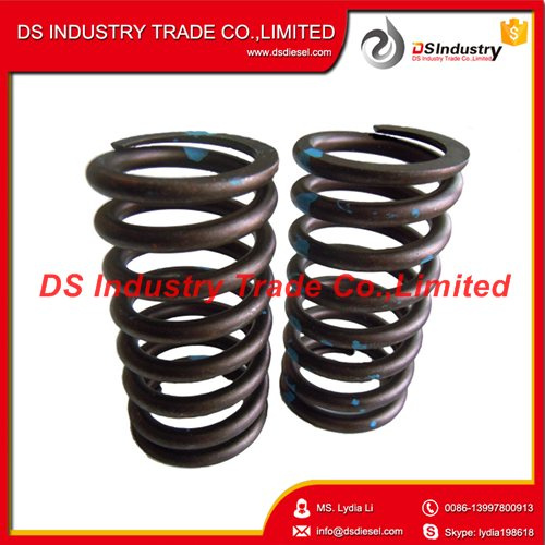 Cummins Engine Spare Parts Valve Spring Nt855 3629006