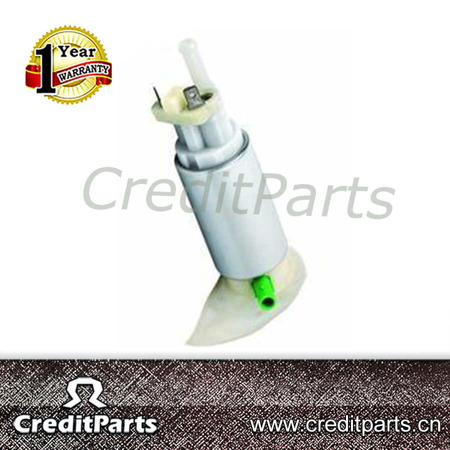 Electric Fuel Pump Erj246X for Gas Stations