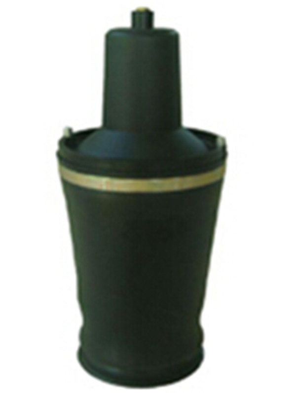 Front Air Spring Bag for Land Rover Discovery II (2)