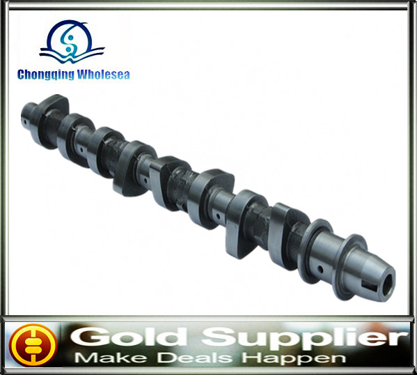 Auto Parts Camshaft OEM 059.109.022bc for V. W. / Audi