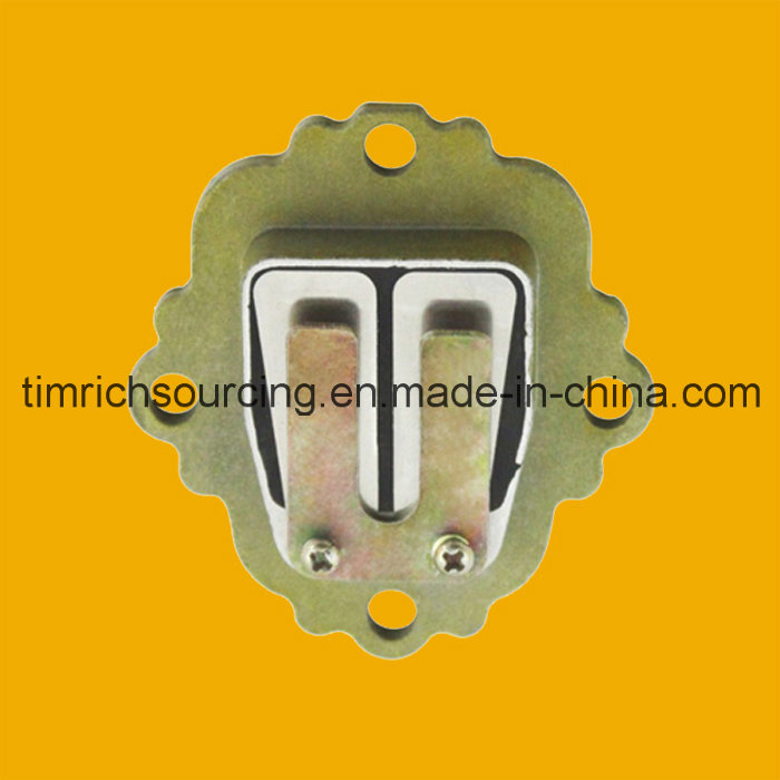 Hot Selling Motorcycle Carburetor Intake Valve for Motorbike Spare Parts