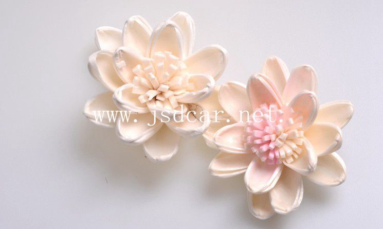 Car Air Freshener, Decoration Crafts (JSD-G0026)