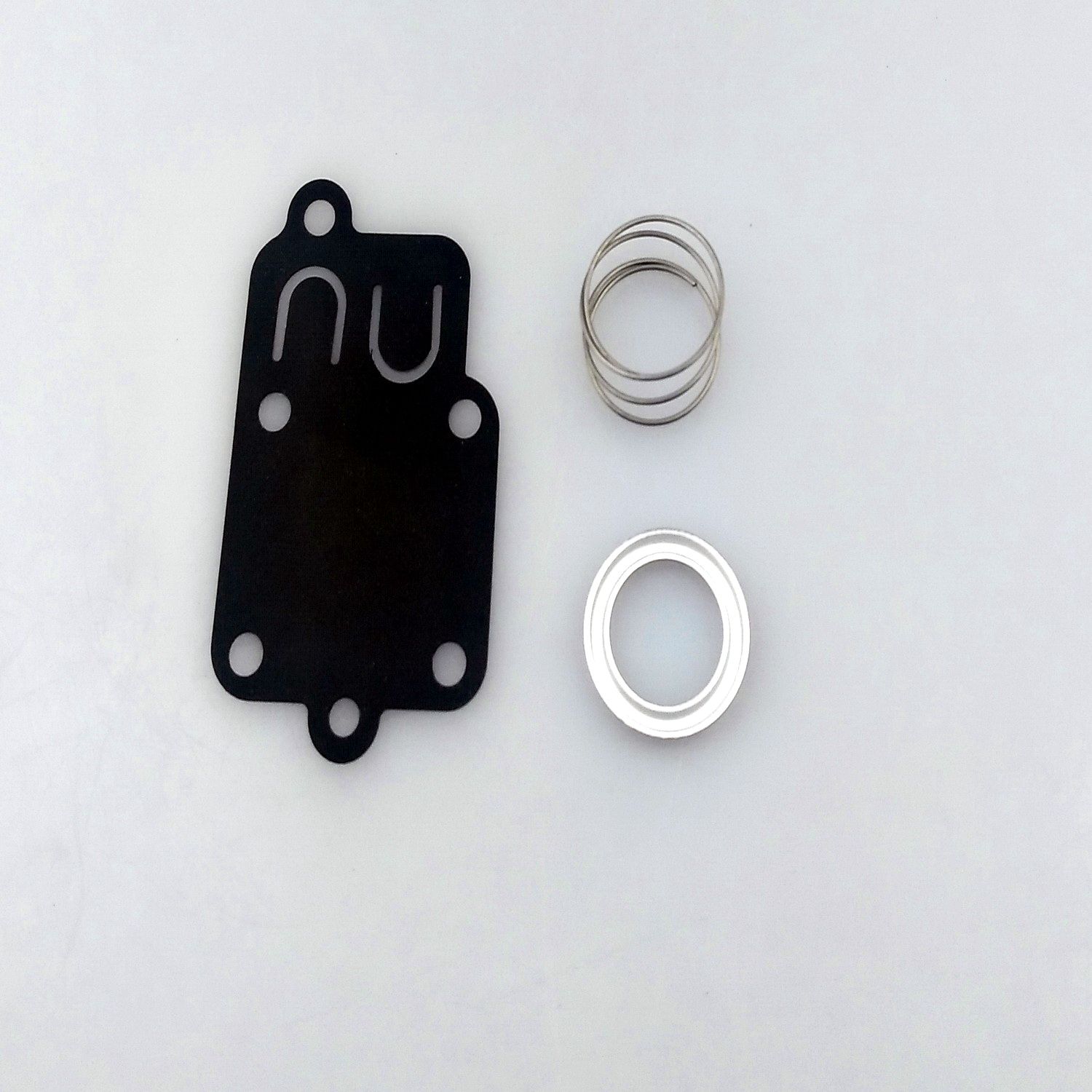 Briggs & Stratton 270026 5021K Diaphragm Carburetor Kit, Includes Spring