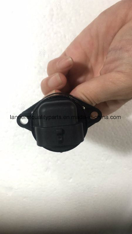 New Brand Citroen Idle Air Control Valve for Peugeot(OEM #: 23001-607905)