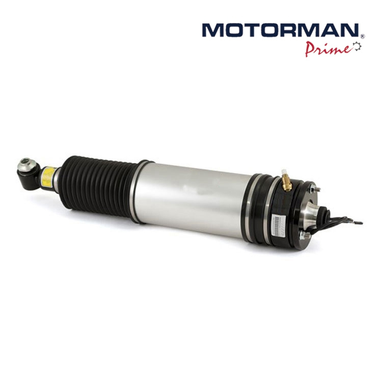 Rear Left Suspension Shocks Air Ride Strut for BMW E66 E65 7-Series 740li 735 745 750 760