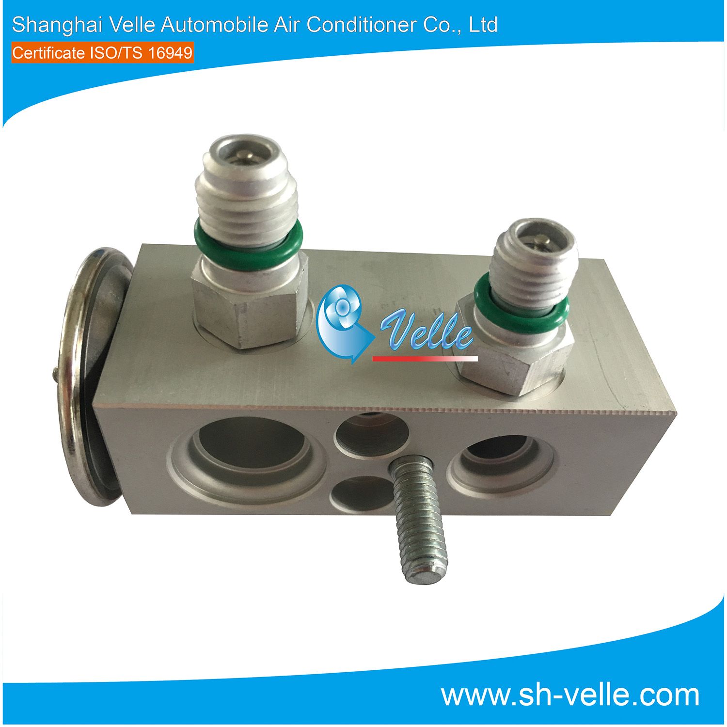 Automatic Thermal Refrigeration Expansion Valve Berg OE#1000293538