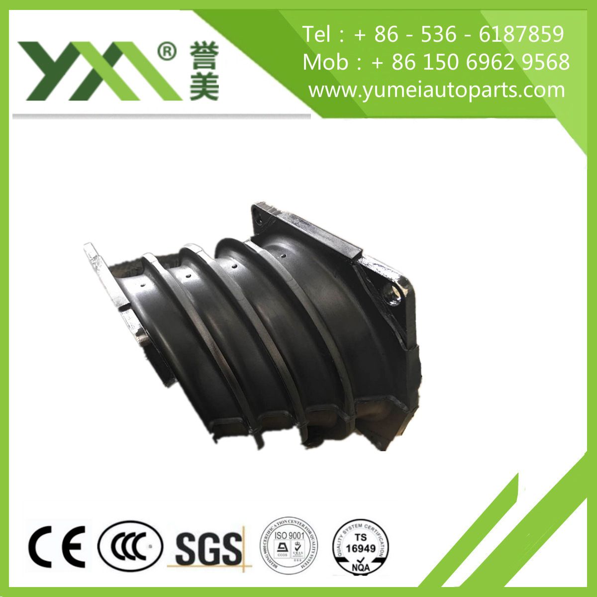 Auto Spare Parts Engine Mount for European/Japanese Truck (0002421213)
