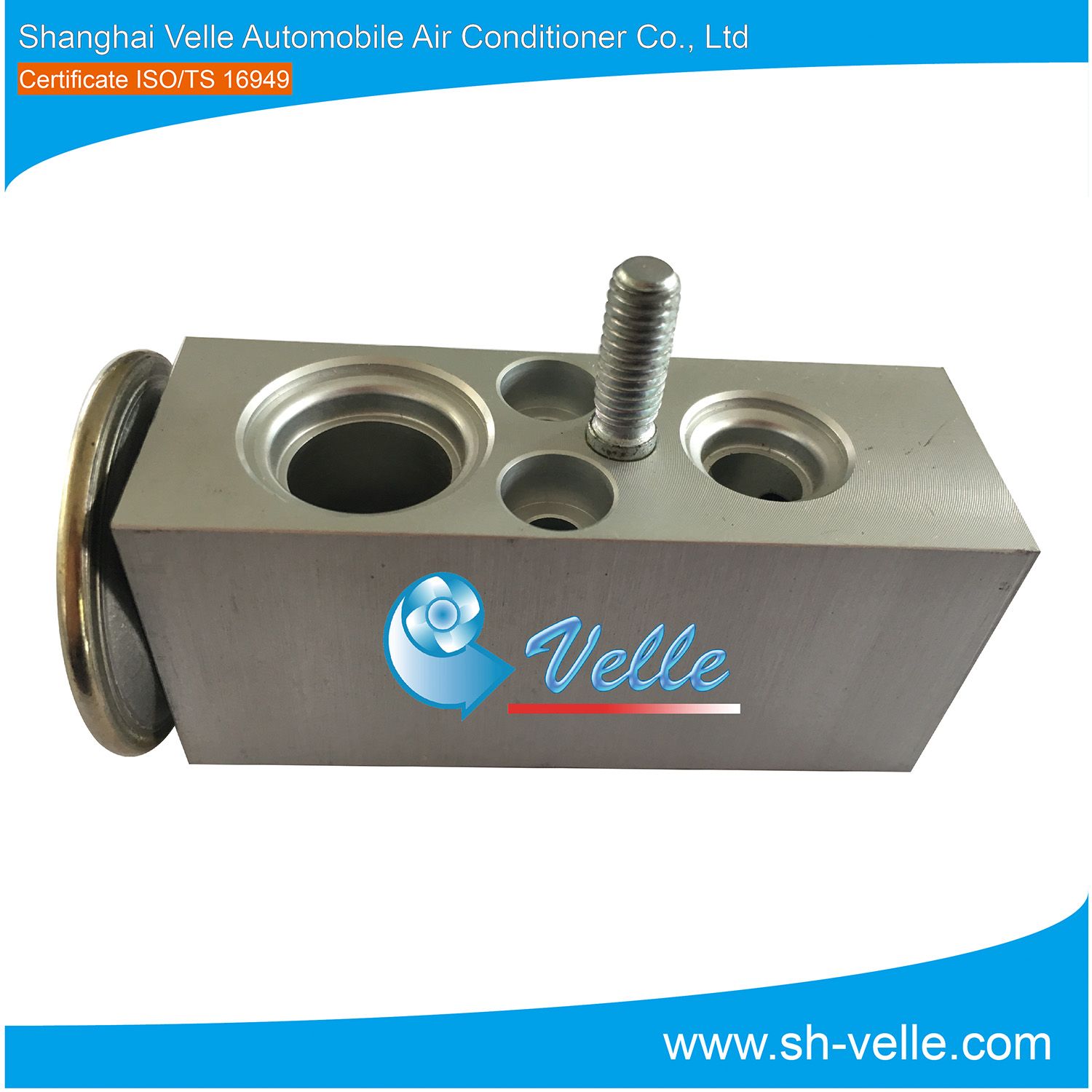 OE No. 1000134043 Expansion Valve for Car, Truck