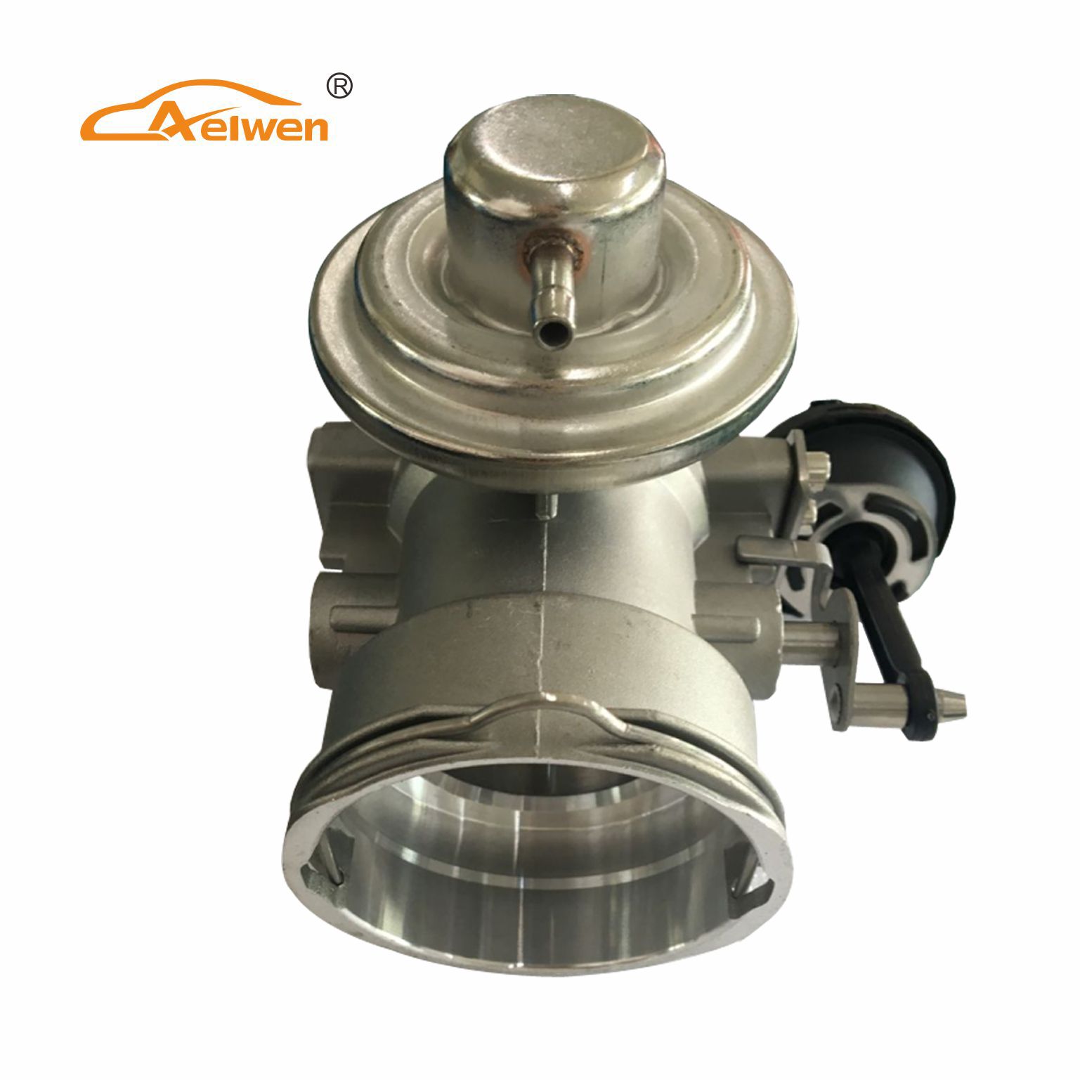 Aelwen Egr Valve for VW Seat Skoda (038131501AA)