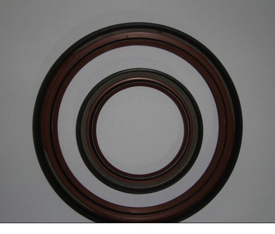 Oil Seal for Deutz Engine FL912