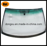 Laminated Front Windshiled for Automobile Nissan B15