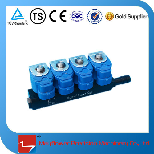 Gas Fuel Rail Injector for CNG
