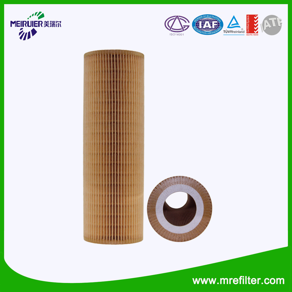China Manufacturer Truck Oil Filter for Scania 2022275