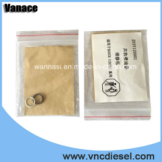 Bosch Common Rail Injector Repair Kits F00vc9002 with High Quality