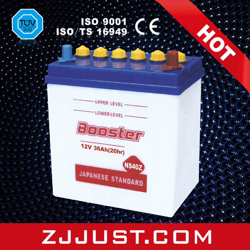 Car Battery, Rechagrgeable Lead Acid Battery, Dry Charged Battery NS40ZL