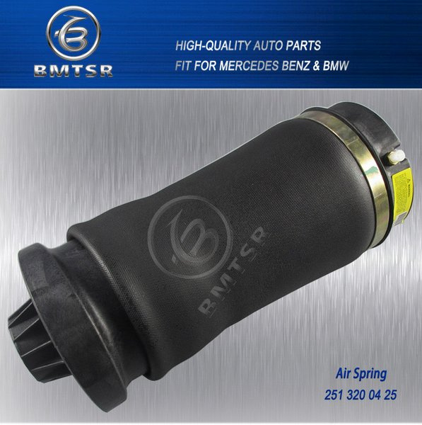 Best Price Auto Parts Parts Suspension Air Spring /Air Dumper OEM 251 320 04 25 Fit W251