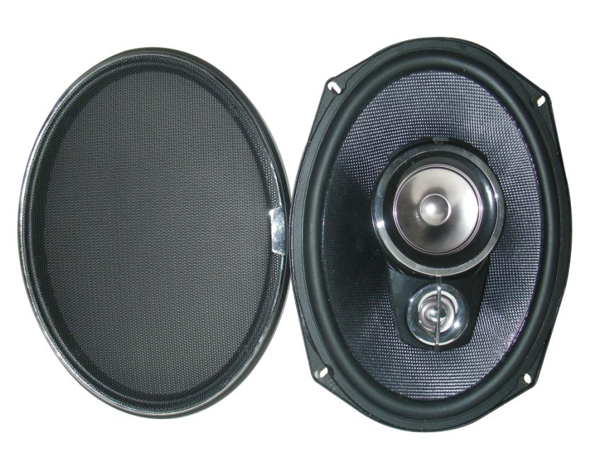 Speaker/Speaker with Electronic Board/ Car Speaker