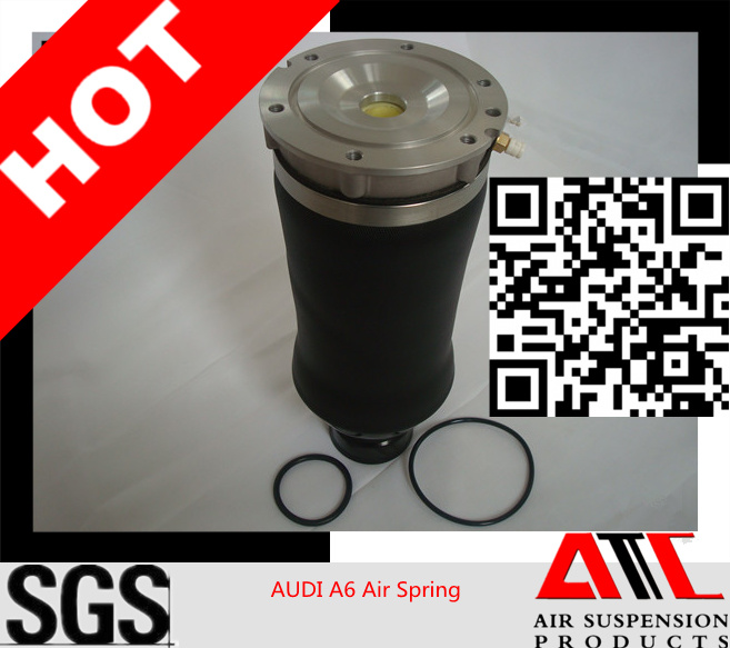 Chinese Factory Supply Rubber Shock Absorber for Audi A6 Front