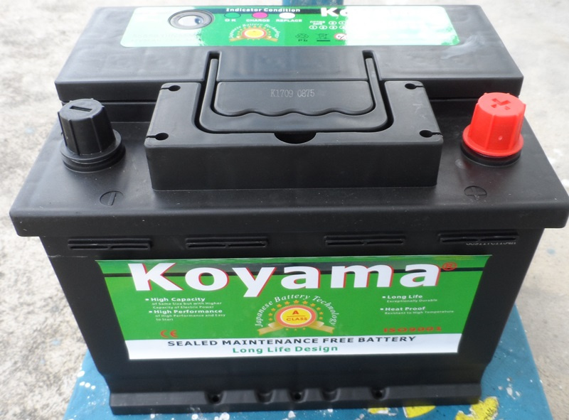 Guangzhou Car Battery, Mf Battery Starting Battery DIN55 (55559) -Mf