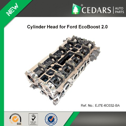 Cylinder Head for Ford Ecoboost 2.0 Ej7e-6c032-Ba