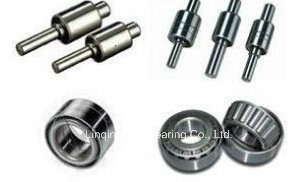 Water Pump Bearing, China Bearing Wb1224083-1