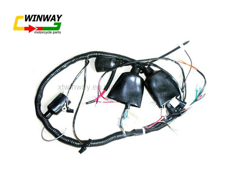 Ww-8806, Motorcycle Part, Motorcycle Wire Harness,