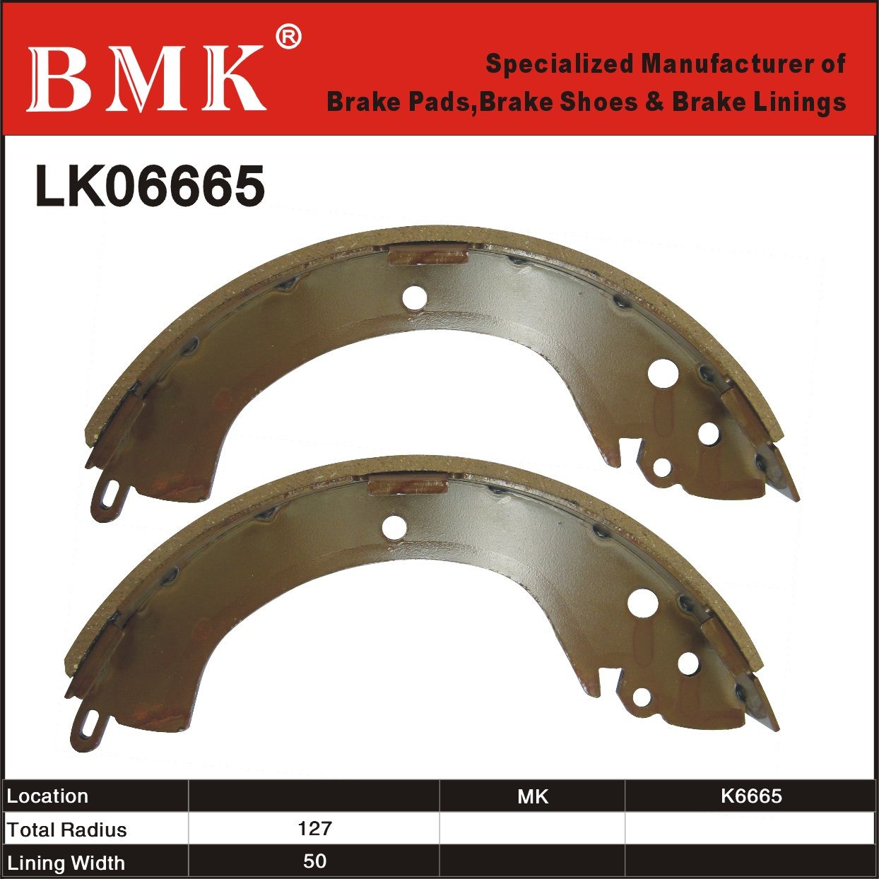 Adanced Quality Brake Shoe (K6665)