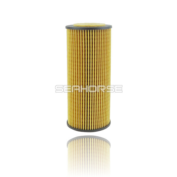 Professional Supplier of Oil Filter for Vaneo Car 6681800009