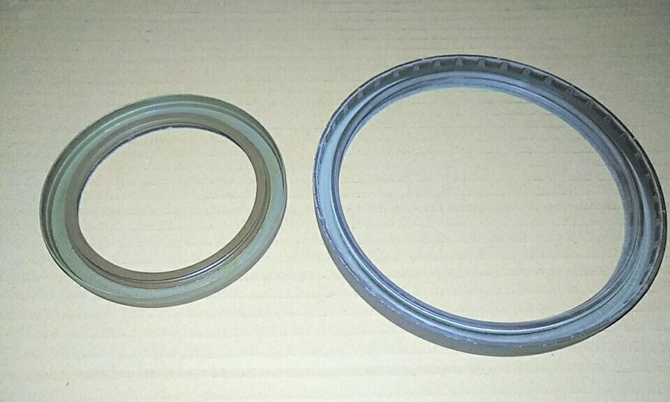 Oil Seal for Diesel Engine Bfm1013, Tcd2013